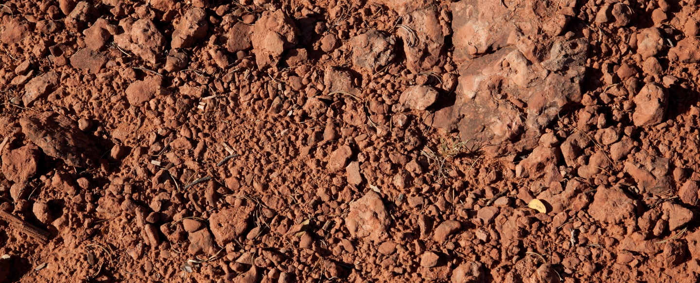 ground dirt close up courtland ms